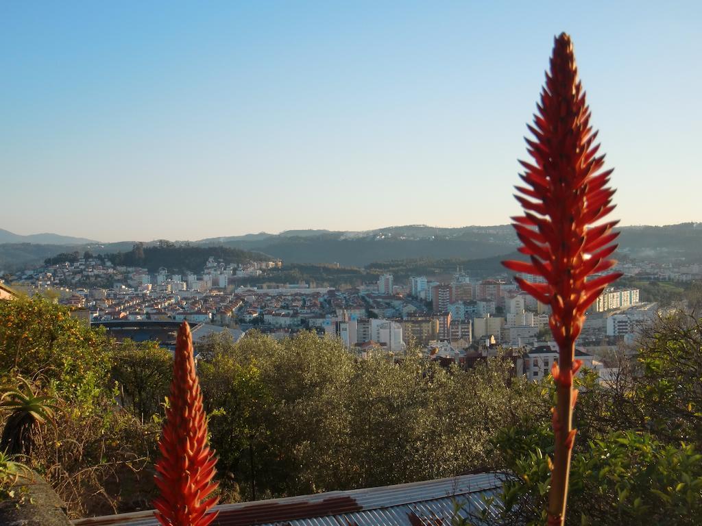CSI Coimbra & Guest House - Student accommodation Esterno foto